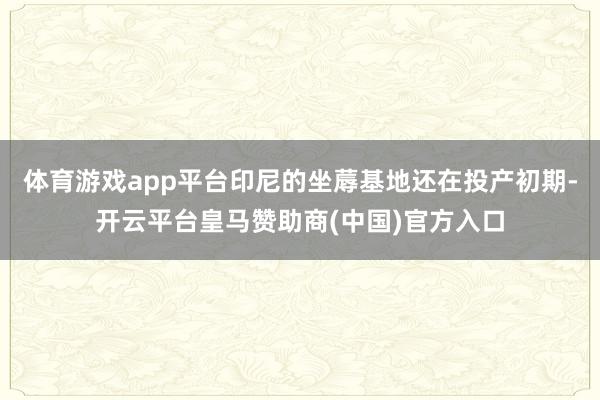 体育游戏app平台印尼的坐蓐基地还在投产初期-开云平台皇马赞助商(中国)官方入口